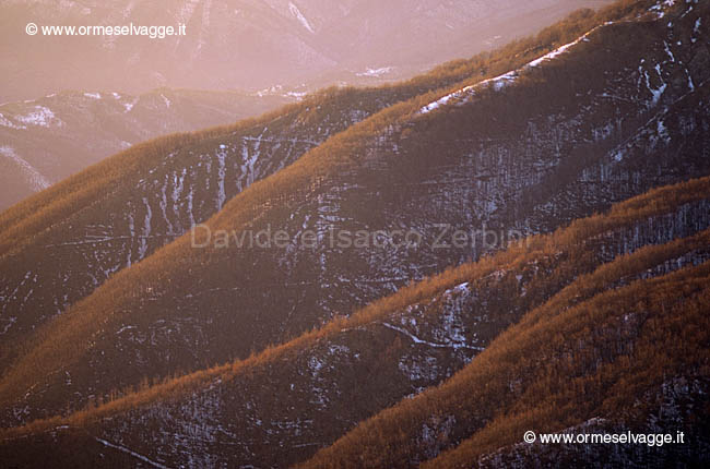 Passo del Cirone 3-14-05